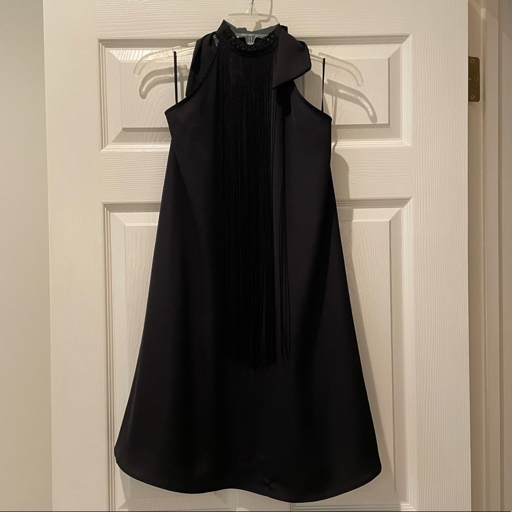 **NWT** Zara Dress with Fringe